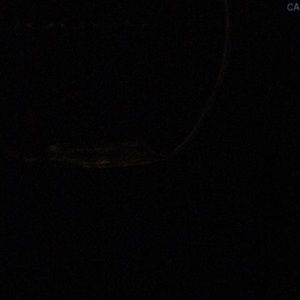 Meet your Posher, Randy